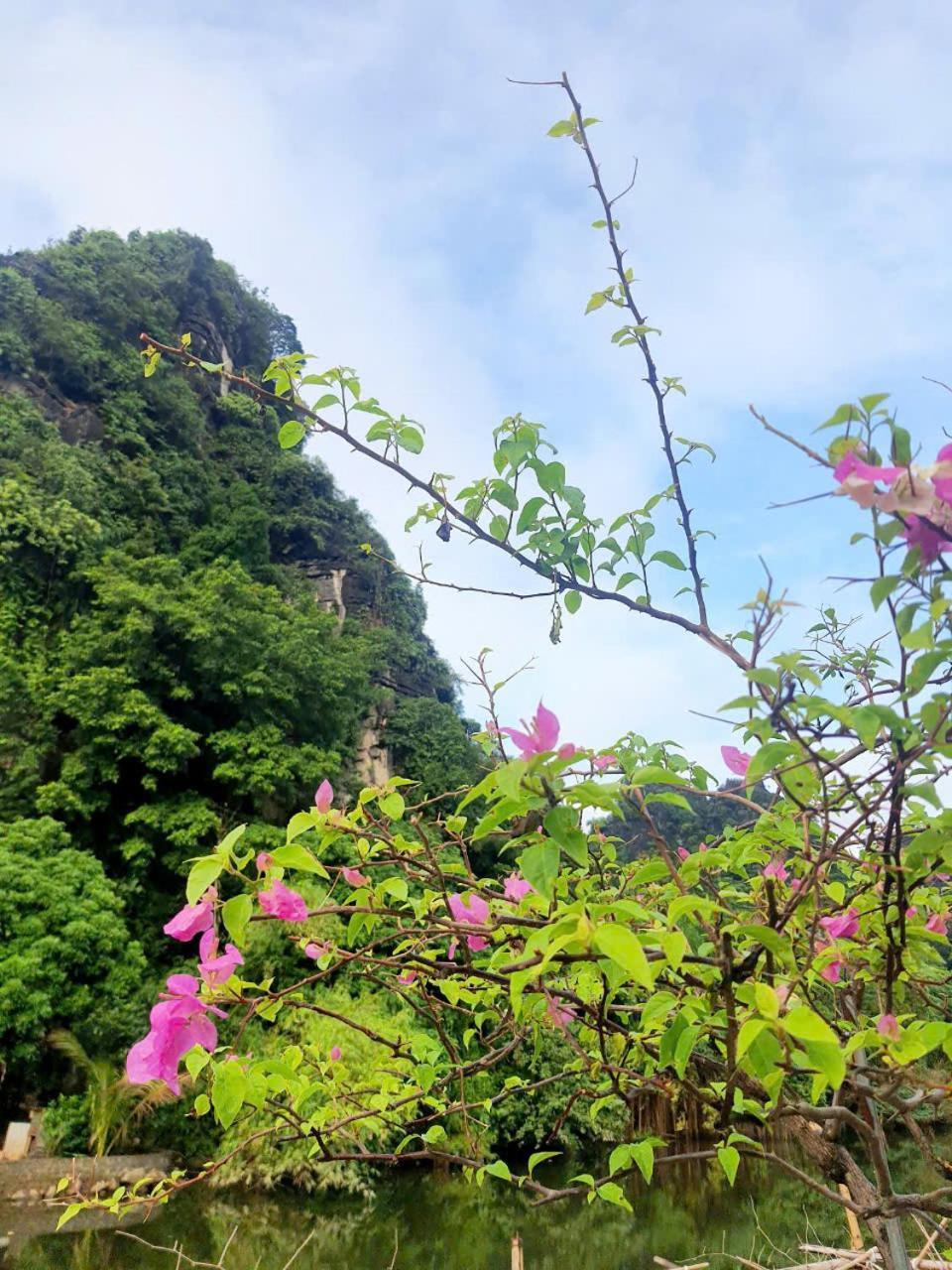 Trang An Hana Homestay Nguyen Ngoai ภายนอก รูปภาพ