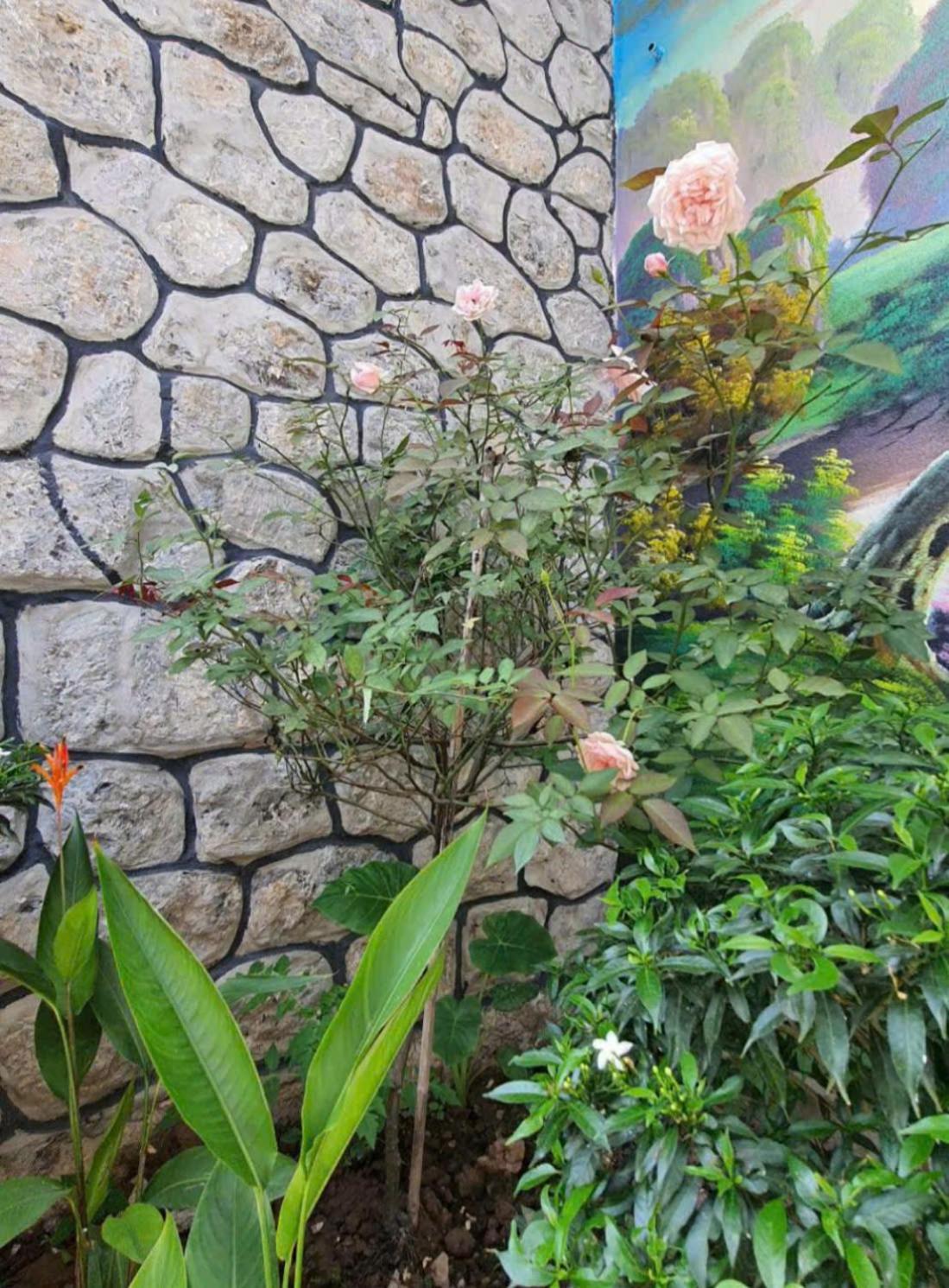 Trang An Hana Homestay Nguyen Ngoai ภายนอก รูปภาพ