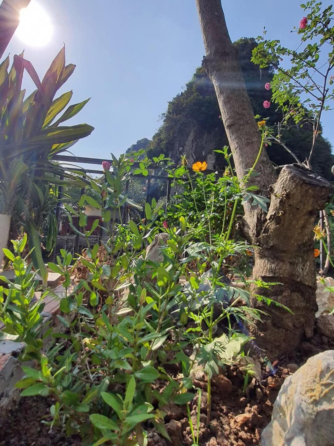 Trang An Hana Homestay Nguyen Ngoai ภายนอก รูปภาพ